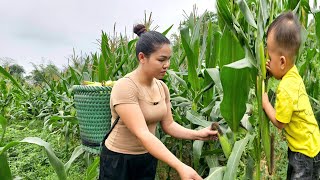 Mother and Boy harvested corn brought it to the market to sell | Hà Tòn Chài