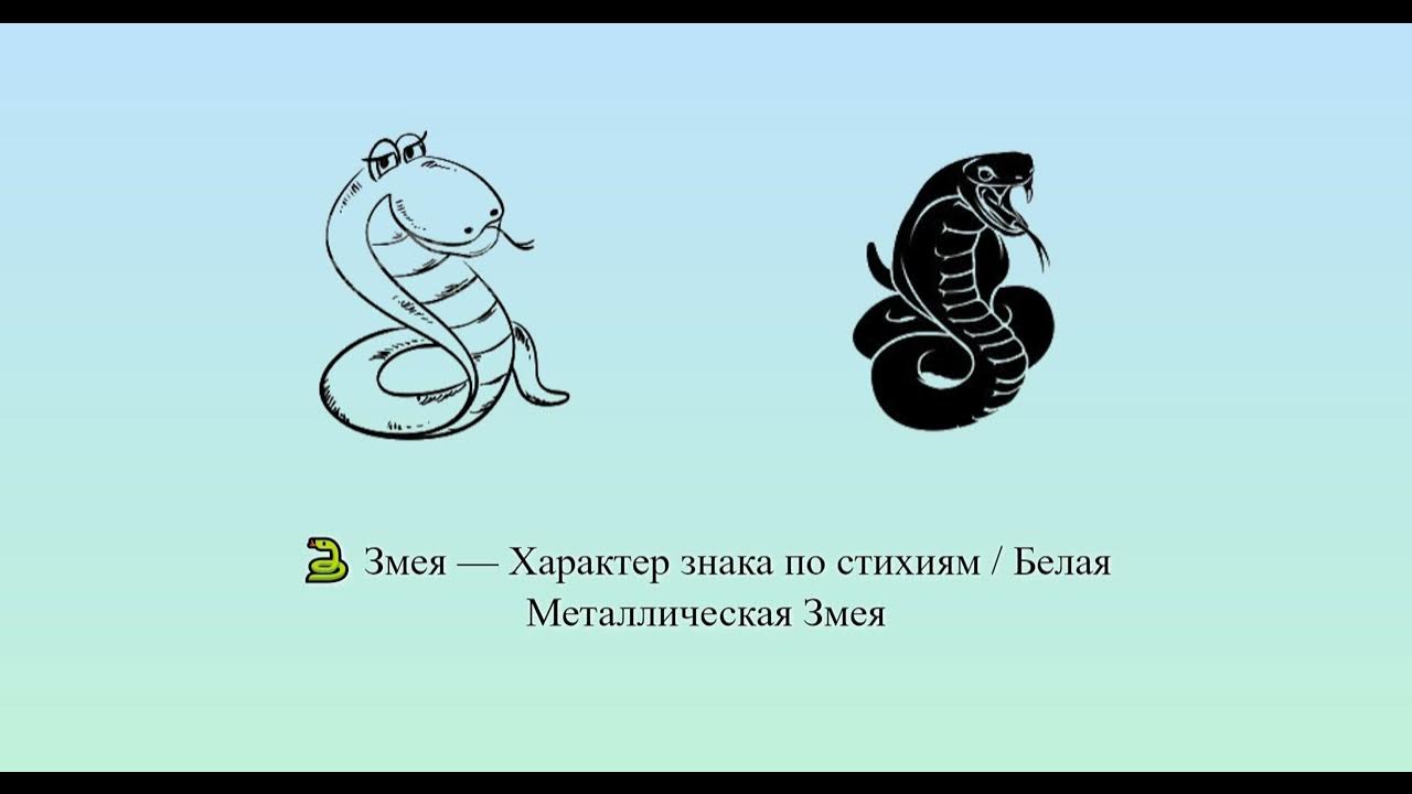 Змея характер людей