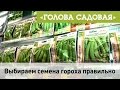 Голова садовая - Выбираем семена гороха и фасоли правильно