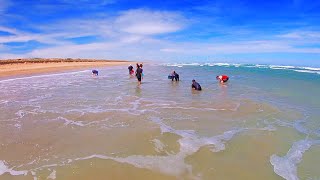 Goolwa Cockling | Catching Goolwa Cockles | South Australia Beaches | Fishing South Australia - Ep15