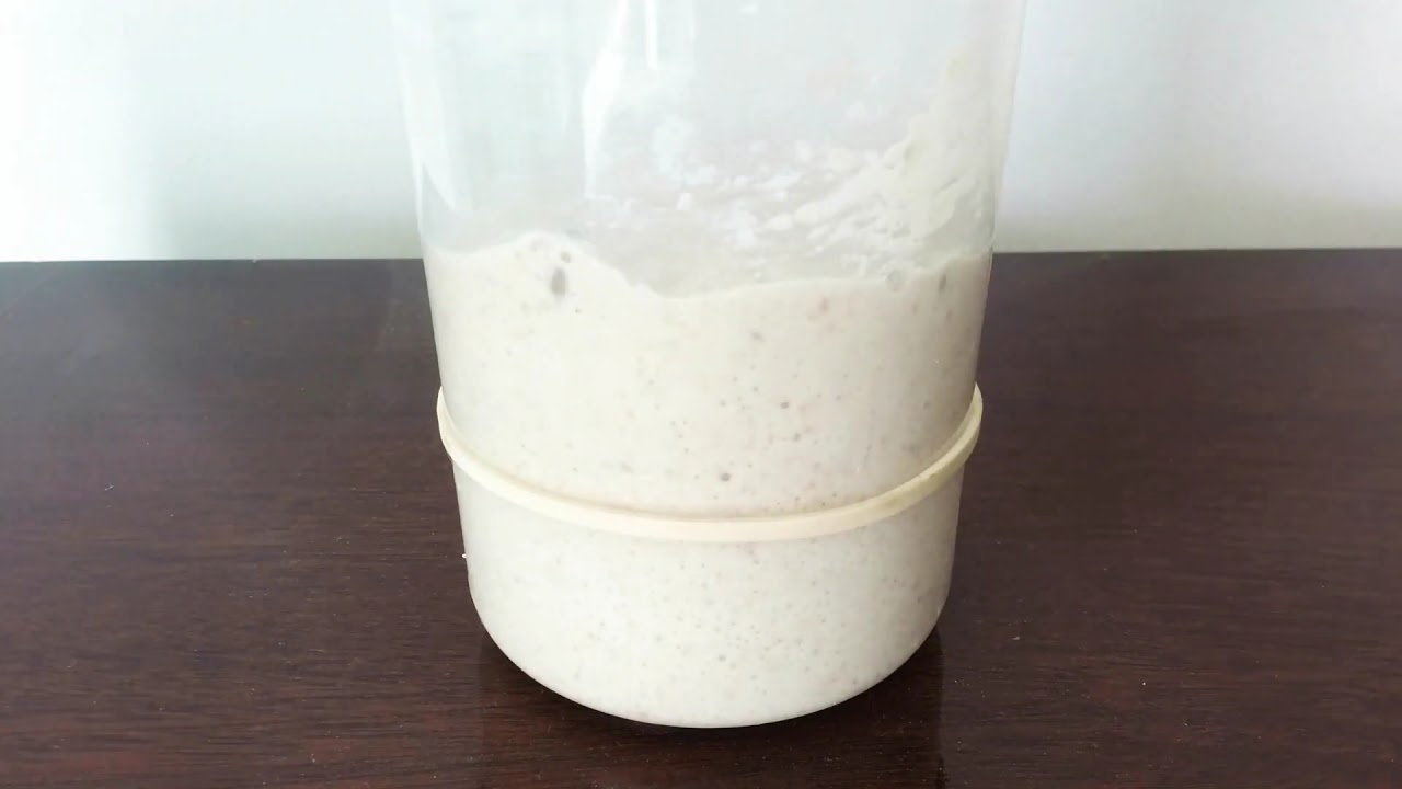 Sourdough Starter Rising August 2019 YouTube sourdough-starter-rising-august-2019-youtube