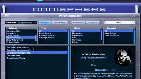 PROJECT PRESET - Omnisphere Bob Moog Tribute - Psychoacoustic