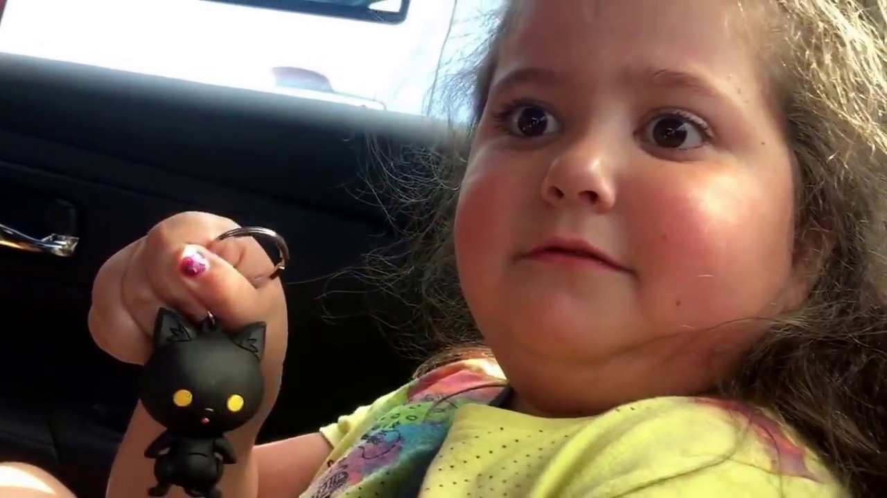 camera iphone 8 plus apk Miabella Reviews: Purrfect Pet Cat Blind Bag