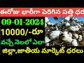 మార్కెట్లో పత్తి ధరలు 09-01-2024 Today cotton rate | cotton rate today || #pattidhralu Increase