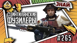 Мультшоу Сцинтиланские фузилеры Знай Warhammer 40000