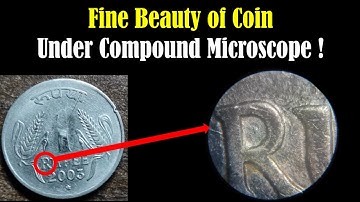 Coin Under Microscope - The Beauty of Microscopic World