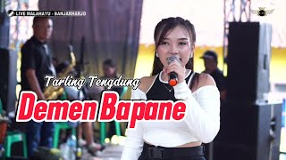 DEMEN BAPANE ~ TENGDUNG // CITRA NADA LIVE DESA MALAHAYU (BLOK 2) // BANJARHARJO - BREBES