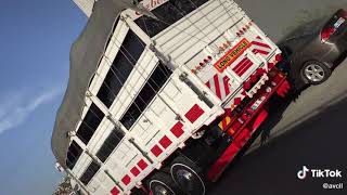 Düşmemi Bekleyen Çakallara Inat 4 Taneçakalbirarayagelmiş1Tane Aslanı Nasıl Düşürdük Diye Konuşuyor