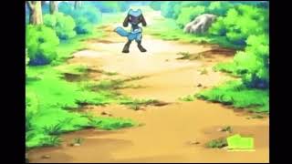 Riolu Pokedex entry (Pokemon Diamond and Pearl)