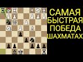👌САМАЯ СИЛЬНАЯ, ХИТРАЯ, КРАСИВАЯ ЛОВУШКА ЗА ВСЮ ИСТОРИЮ ШАХМАТ. Шахматы ловушки
