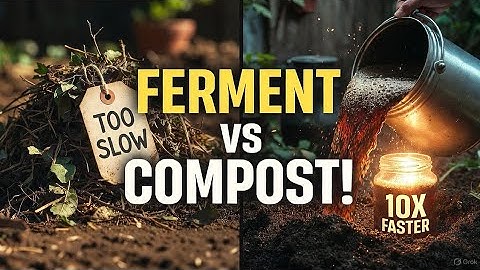 Why I Ferment Instead of Composting: The Secret Fertilizer That Works 10X Faster