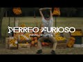 Miniature de la vidéo de la chanson Perreo Furioso