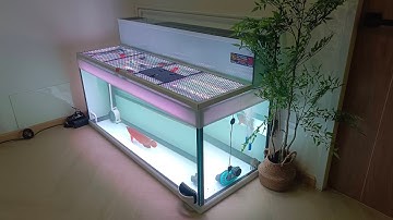 หลง บางพลี - งานระบบ Overflow สำหรับตู้ปลา 60 24 24 กรองบน by SP แทนนิ่งปลามังกรแดงเดือด !!