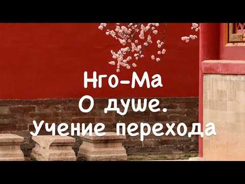 Нго-Ма 10. О