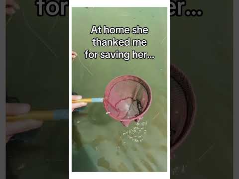 I saved a