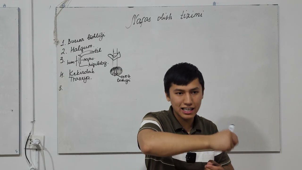 NAFAS OLISH SISTEMASI