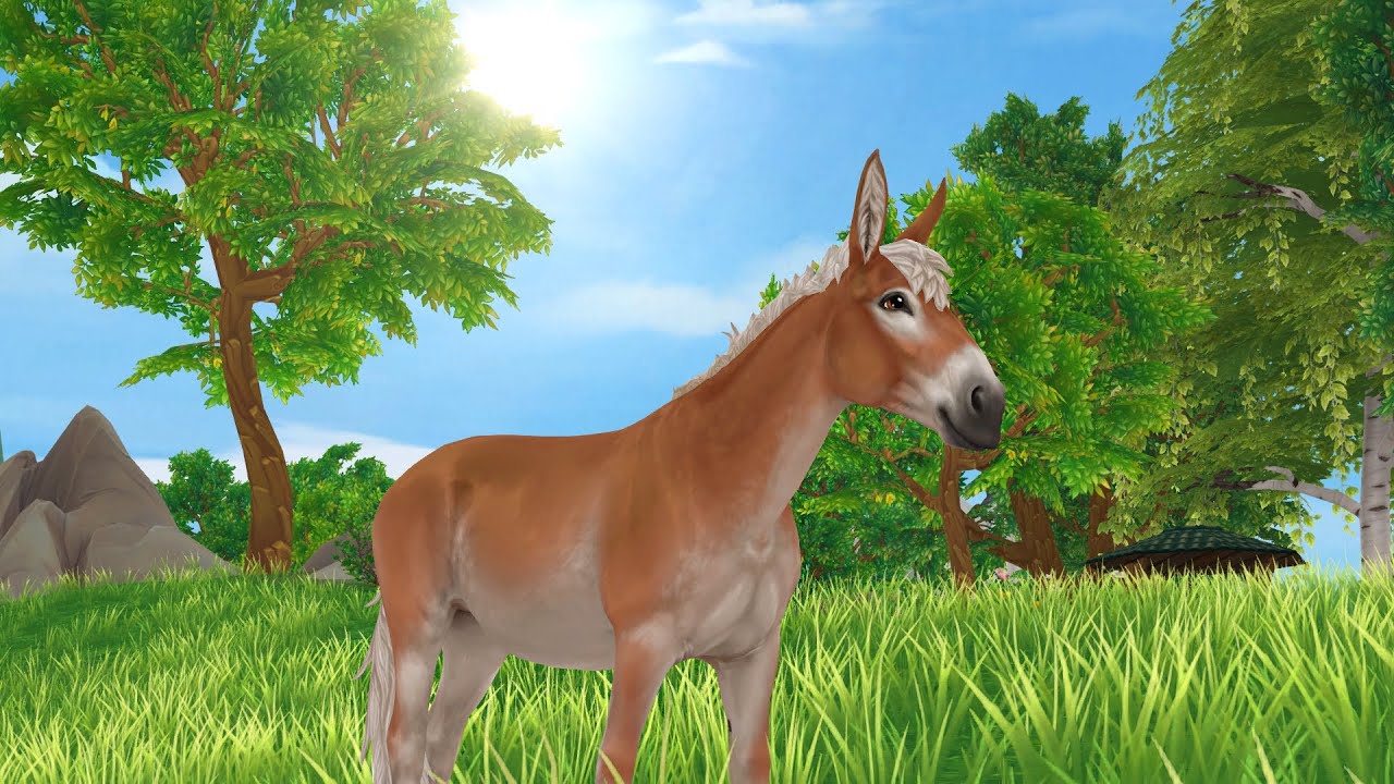 Köper mula - Star Stable Online