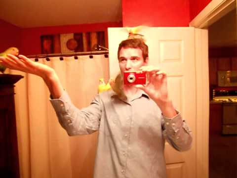 Daddys cock in the bathroom Daddys cock in the bathroom