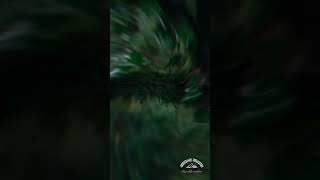 Kımda Kendi Çekmiş Olduğum Doğa Videoları Mevcuttur. Şfet