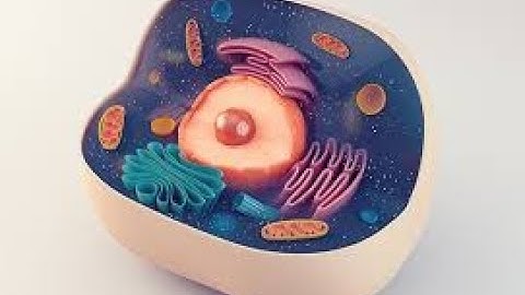 OMD551 - Basics of Biomedical and Instrumentation - Structure of a cell