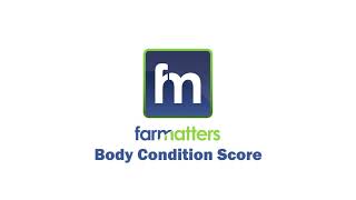 Farm Matters Cattle Body Condition