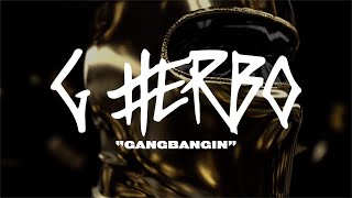 G Herbo - Gangbangin