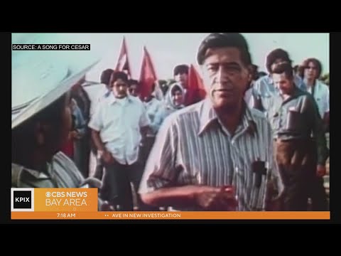 Video: Hvad er cesar chavez-dagen?
