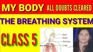 CLASS 5 SCIENCE CHAPTER 