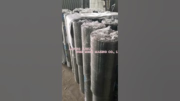 Galvanized Welded Wire Mesh in Rolls