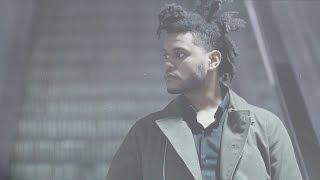 Dutchboy - Angel