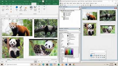 Insert Images in VBA Userform - Quick and Easy Excel Tips -