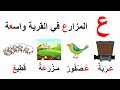 دروس السنة الاولى ابتدائي 2021 فهم المكتوب حرف العين الصفحة 46 mp3