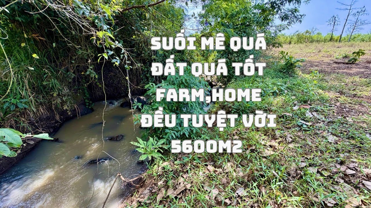 ☘️300TRIỆU 1Sào Đất View Suối Đường Nhà Nước Với 5600m2 Mặt Tiền Dài Miên man Ngay TỉnhLộ 765 ĐN&BRT