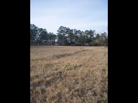 2579 Tuscan Way, Valdosta, GA home video tour