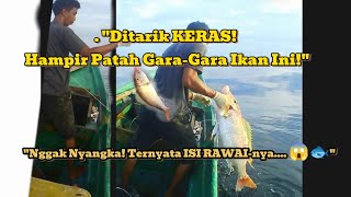 'ga nyangka ‼️liat isi Rawainya