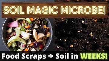 This ONE Microbe Turns Trash Into Super Soil Faster Than Composting
