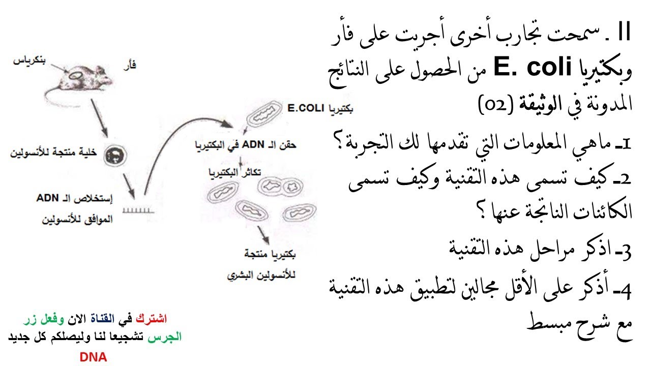 تمارين حول الاستيلاد 2 ثانوي