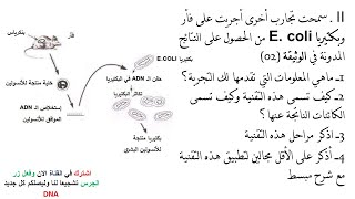 تمارين حول الاستيلاد 2 ثانوي