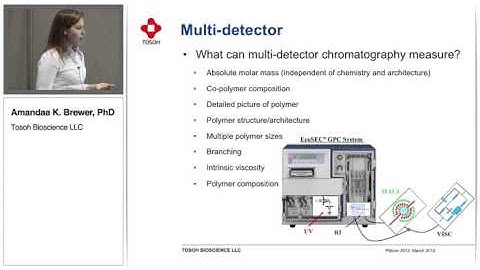 Bridging the Gap in Polymer Characterization: Single - and Multi-detector SEC