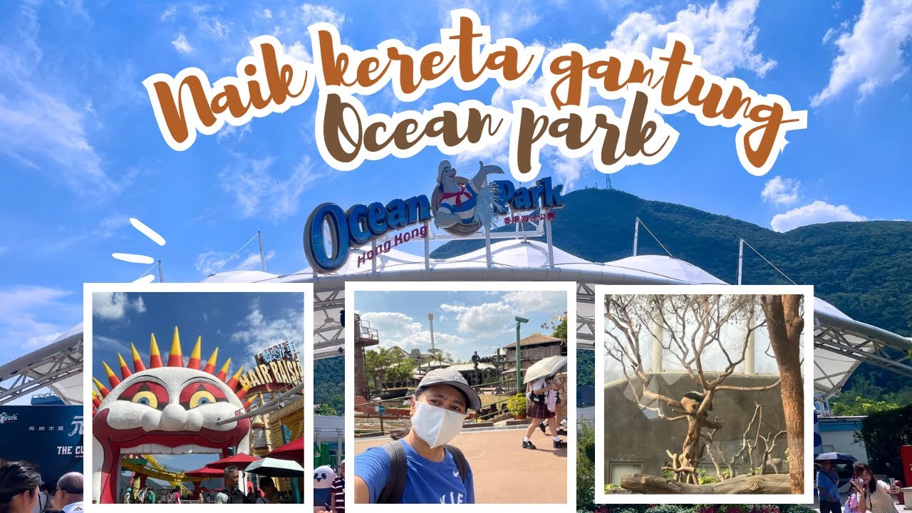 Naik Kereta Gantung Di Ocean Park || My Daily Vlog 