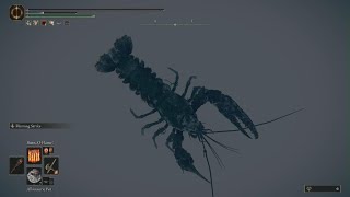Lobster Jumpscare Lobster Jumpscare