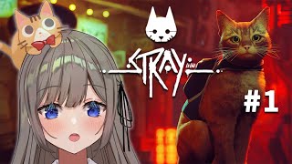 【Stray】01 迷子の猫になる【高倉むき】