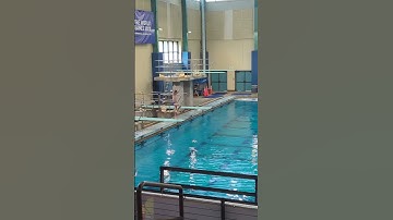 Front flip half twist (5121D) #springboard #diving