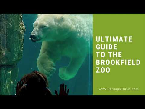 Video: En guide til Chicagolands Brookfield Zoo