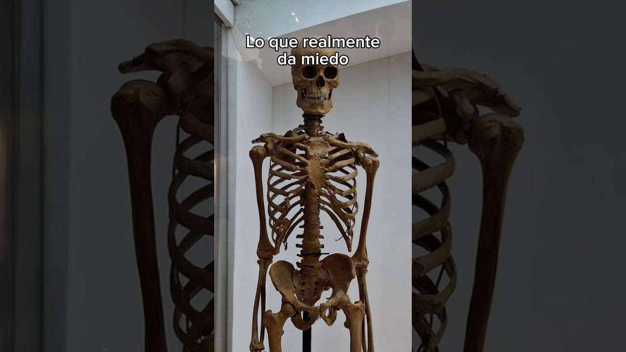 Aprendérselo asusta aún más 😱