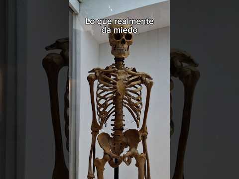 Aprendérselo asusta aún más 😱