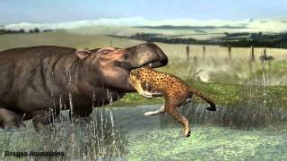 Hippo Eat Leopard
