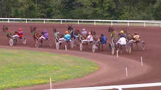 Vidéo de la course PMU PRIX LAFON ELECTRICITE - PRIX N. ET R. BUSSET