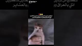 شنو تتمنون صيرون بالمستقبل ??