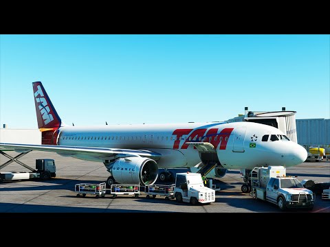 FLIGHT SIMULATOR (AO